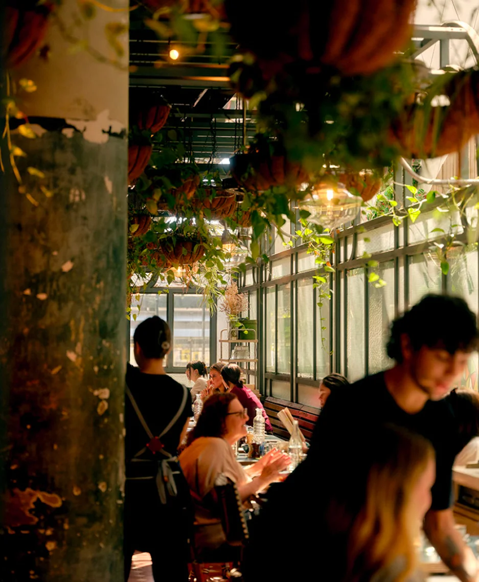  Boronia - flower child cafe 