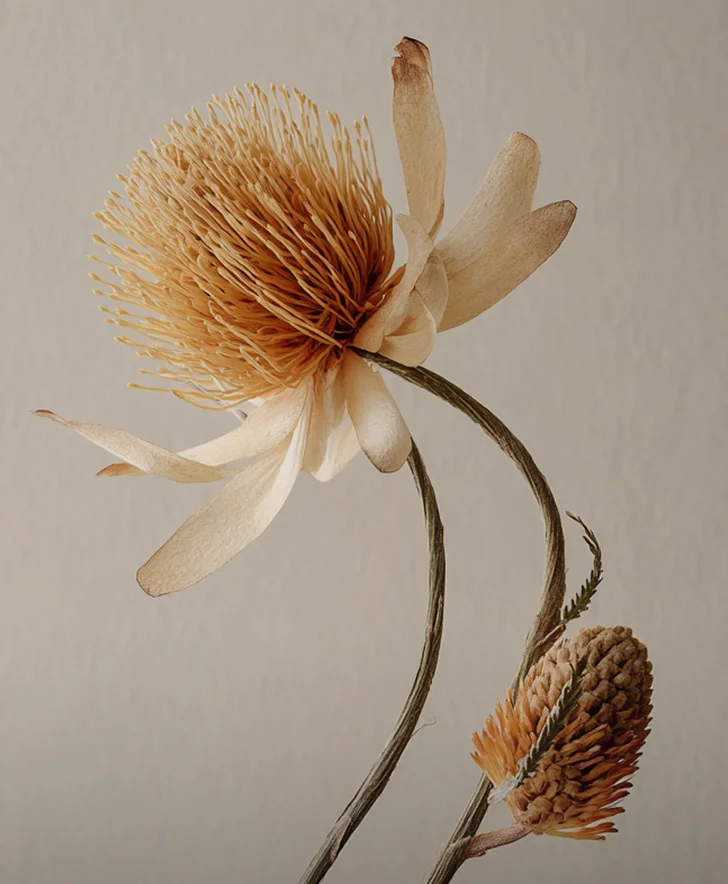  Boronia - flower child cafe 