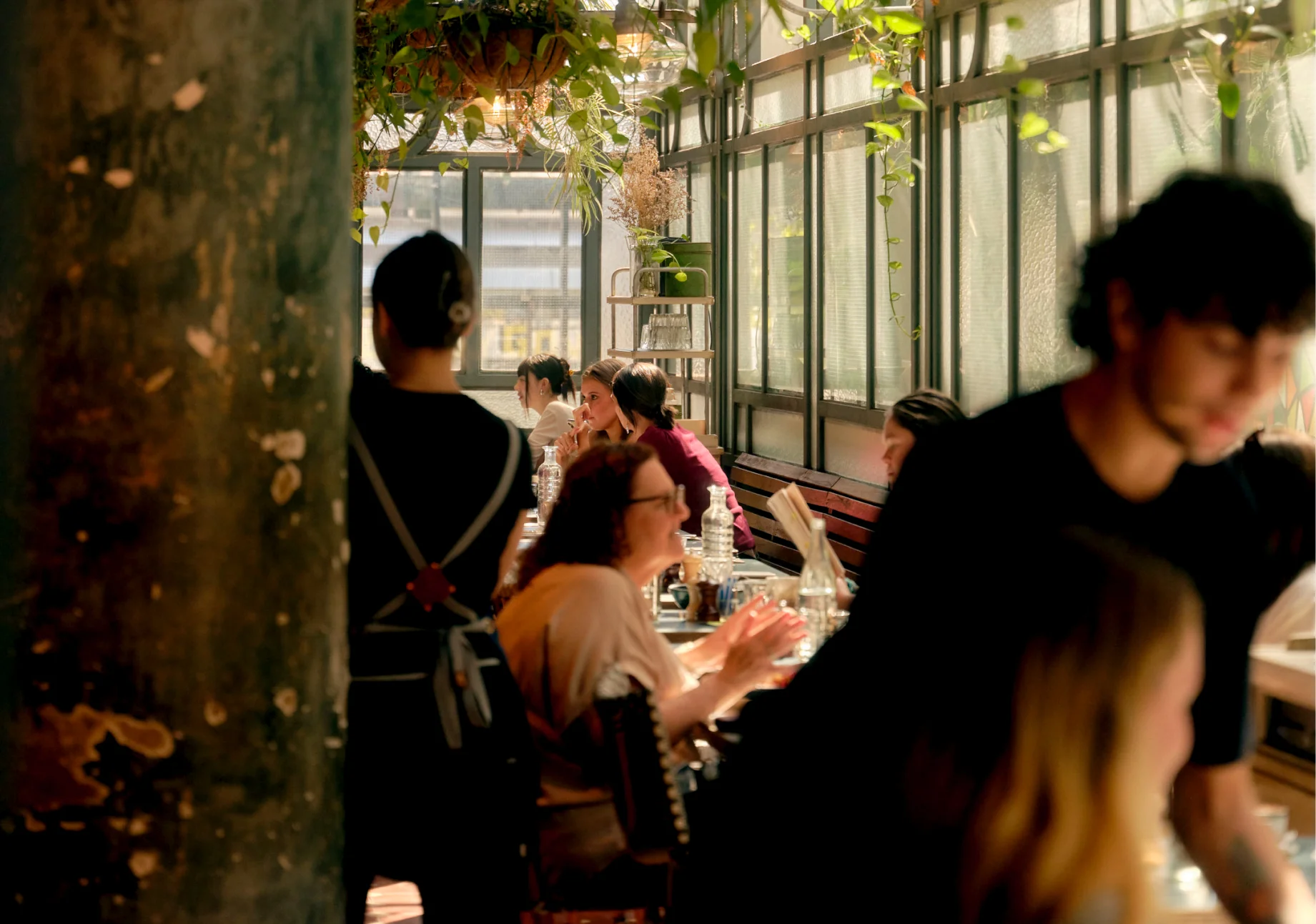  Boronia neighbourhood -  flower child cafe, Lane Cove National Park 