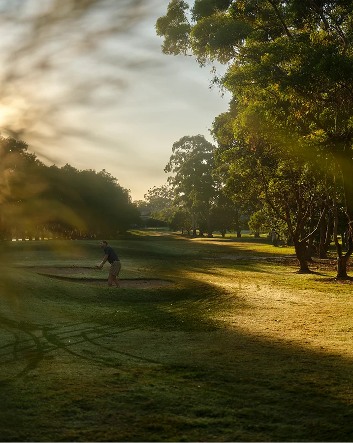 Boronia neighbourhood - Lane Cove National Park. 